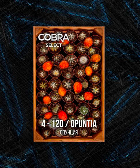 Табак Cobra Select 40г – Oputina (Опунция)